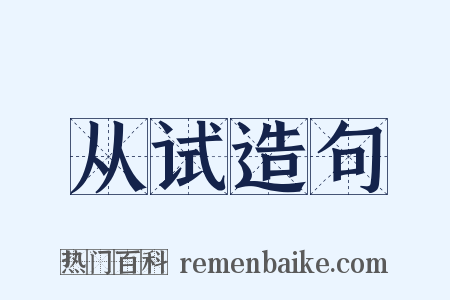 从试造句是什么意思的图片